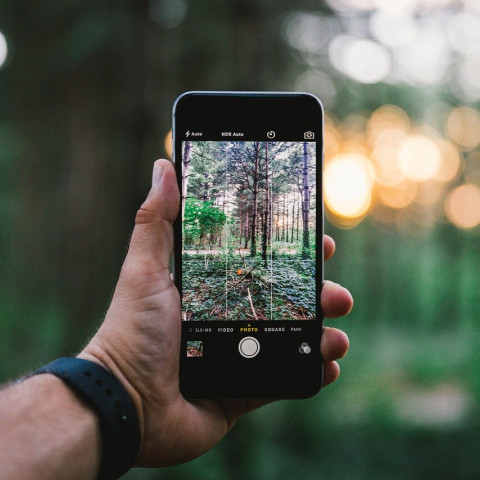 Smartphone fotografiando una escena en la naturaleza
