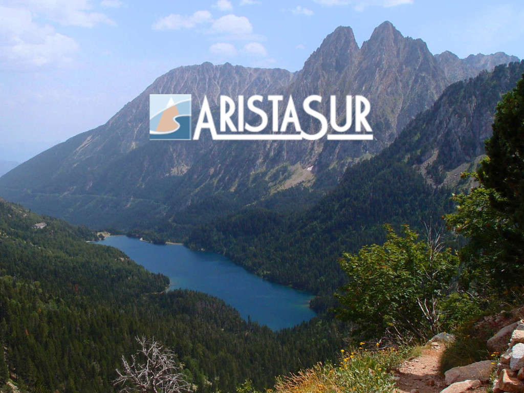 (c) Aristasur.com