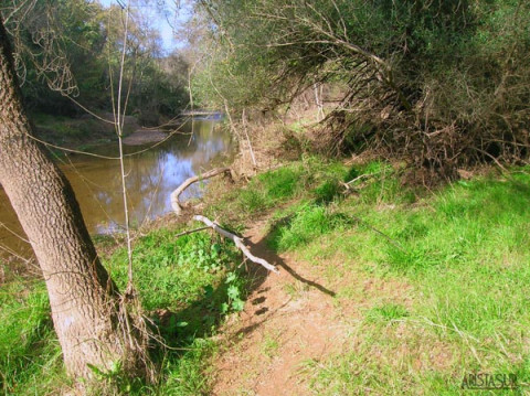 Sendero del Águlla Sendero del Águlla