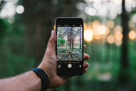 Smartphone fotografiando una escena en la naturaleza Smartphone fotografiando una escena en la naturaleza
