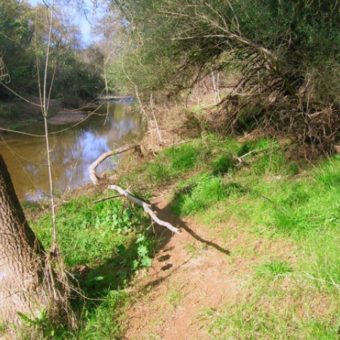 Sendero del Águlla