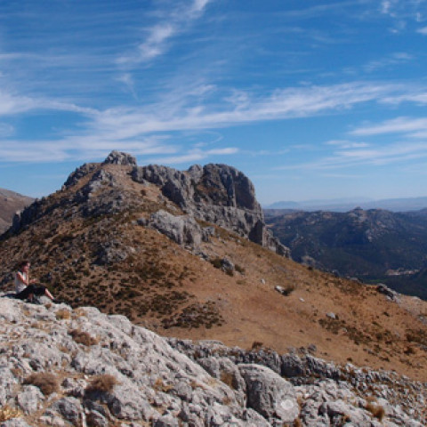 Altos de Majalijar