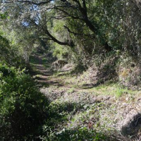 Alto del Chorrillo en Aracena