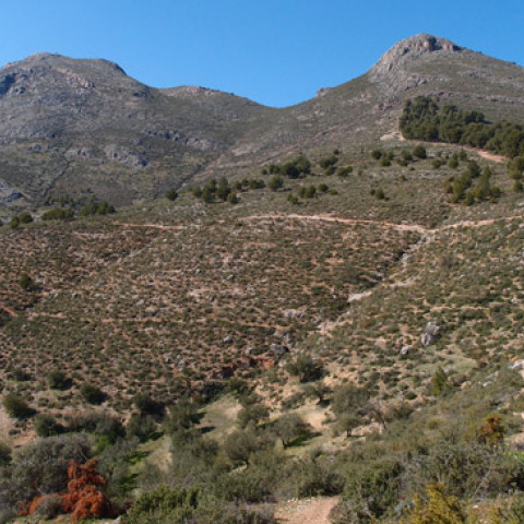 Bajada de Sierra Elvira