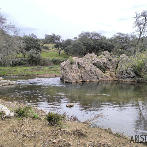 Charca la Pizarra en Rivera del Huéznar