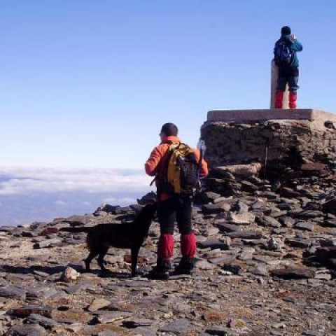 Pico el Chullo