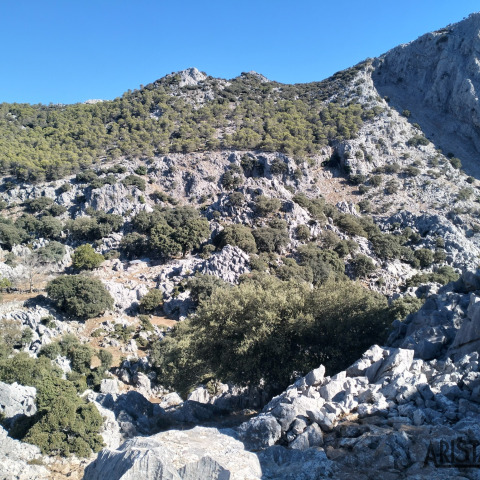 Cortijo Peralta en la ruta de Villaluenga del Rosario a Grazalema