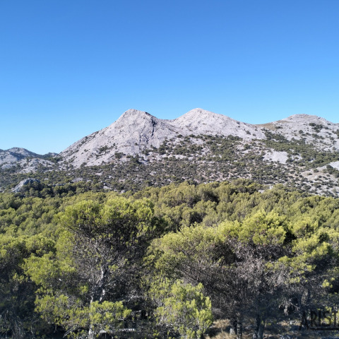 Picos Simancón y Reloj desde Grazalema