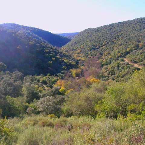 Valle del Río Guadalora