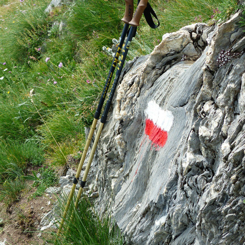 bastones trekking