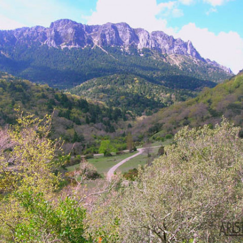 Llanos del Rabel