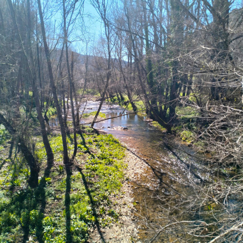 Río Rivera del Huéznar en el Molino del Corcho