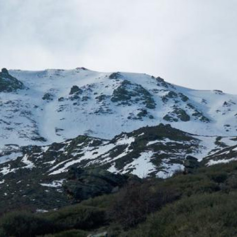 Morrón del mediodía