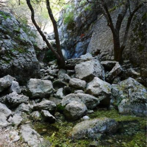 Nacimiento del Río Guadalquivir