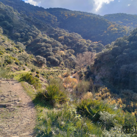 Panorámica Río Guadiaro
