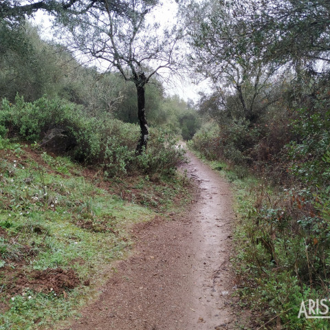 Sierra de Córdoba: Santo Domingo por Arroyo Pedroche y la Viñuela