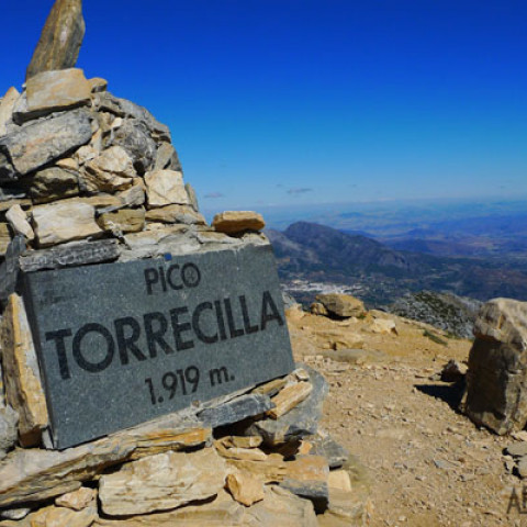 Torrecilla