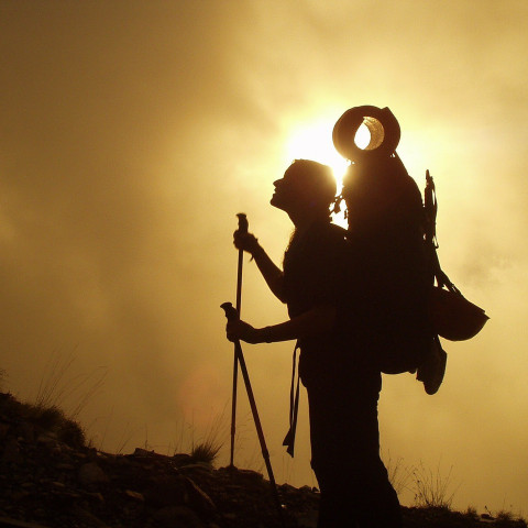 Ventajas y desventajas del uso de bastones de trekking