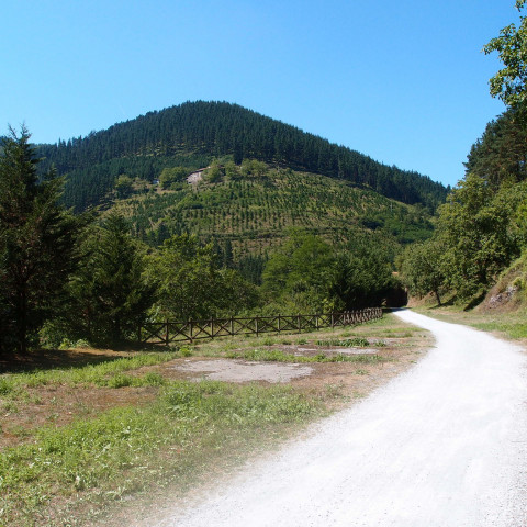 Vía Verde del Urola-Guipúzcoa