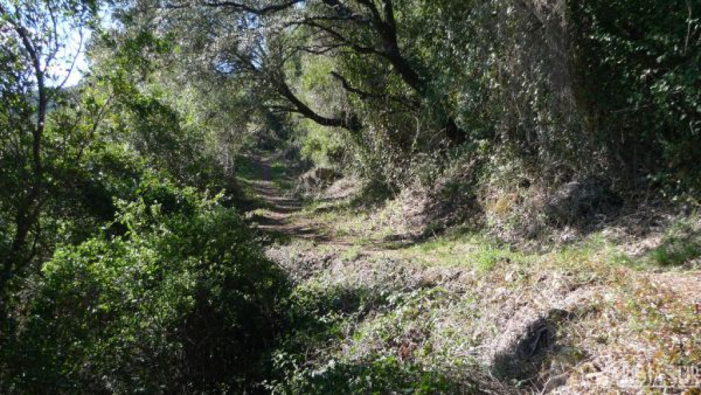 Alto del Chorrillo en Aracena