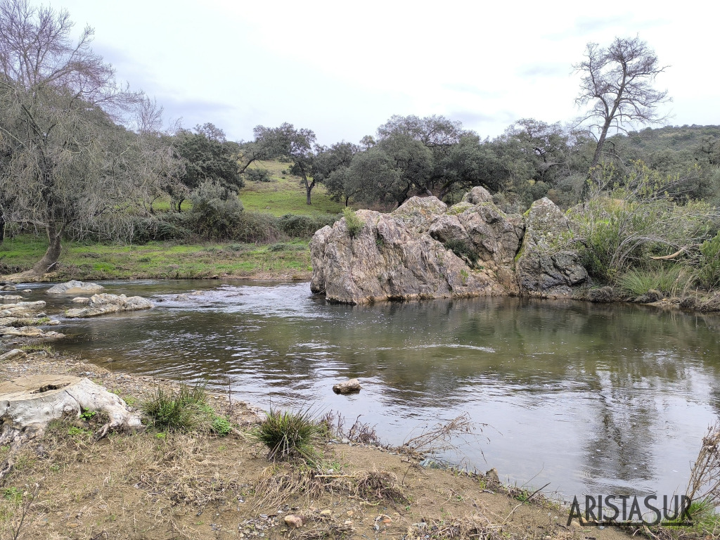 Charca la Pizarra en Rivera del Huéznar