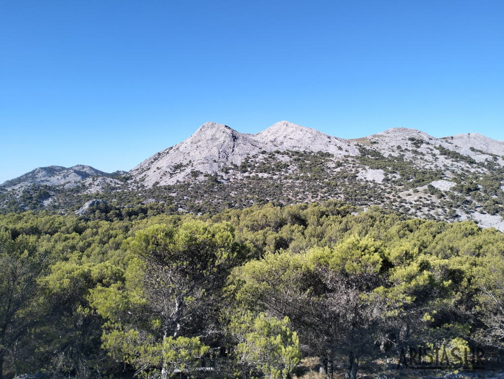 Picos Simancón y Reloj desde Grazalema