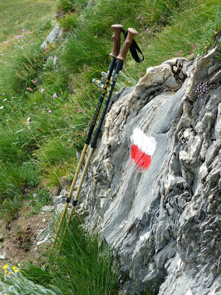 bastones trekking