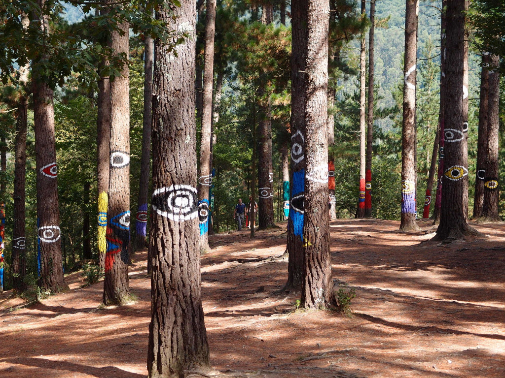 Bosque de Oma (Vizcaya) en la Reserva de la Biosfera de Urdaibai