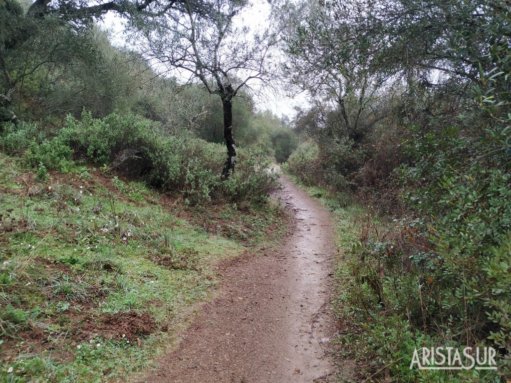 Sierra de Córdoba: Santo Domingo por Arroyo Pedroche y la Viñuela