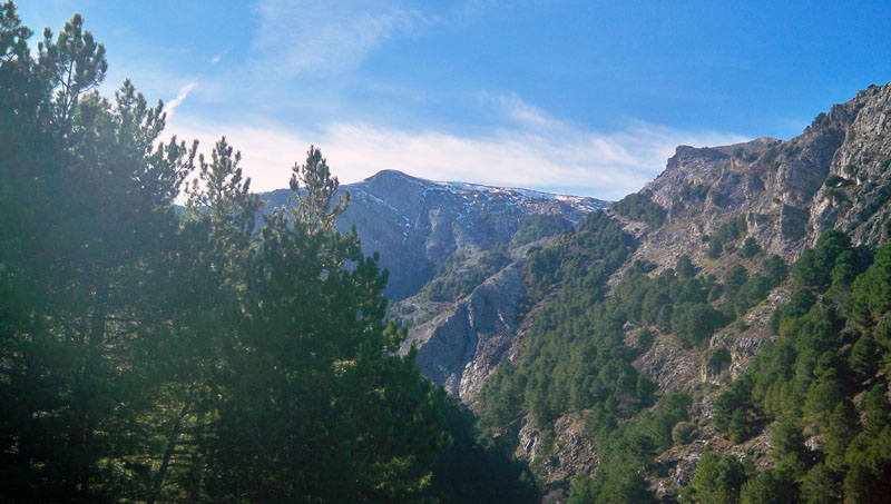 Barranco de los Presillejos subiendo a la Maroma