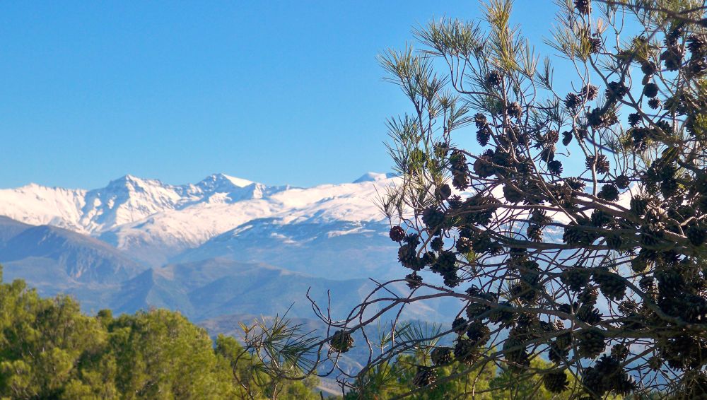 Vistas de Sierra Nevada subiendo a Viznar