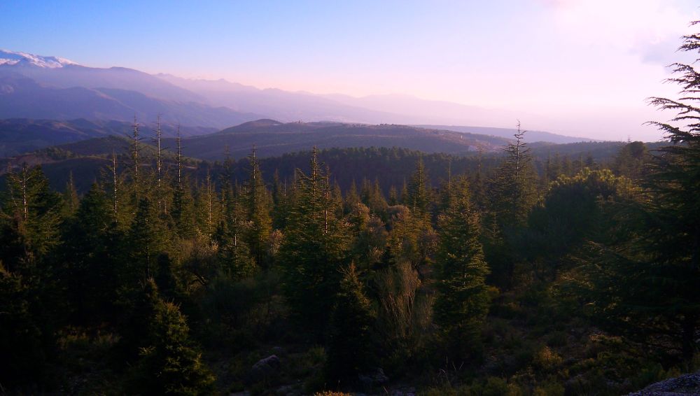 Vistas desde la pista forestal de Puerto Lobo