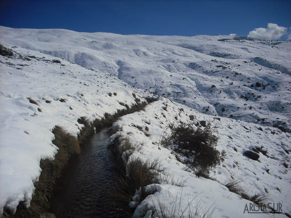 Acequia Alta nevada