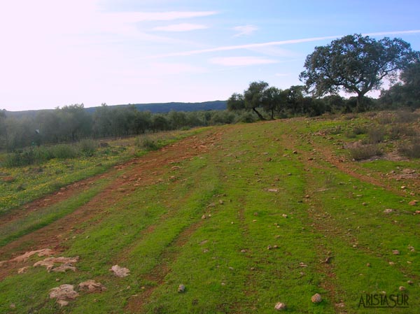 Campos de cultivo y crianza