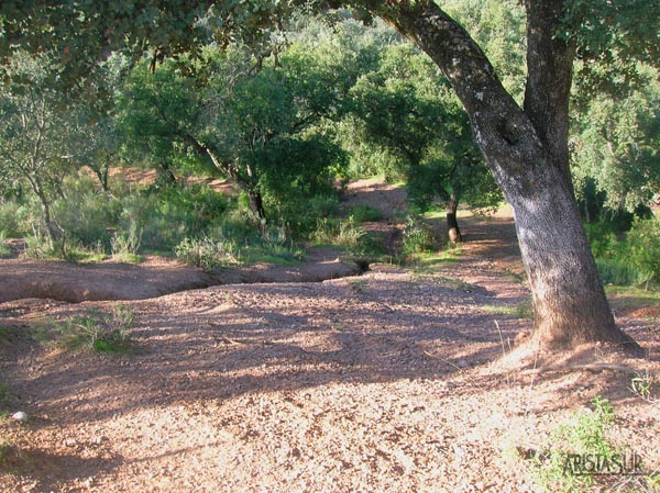 Piedras sueltas en el camino cerca del Mirador de las Palomas