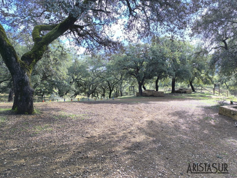 Área recreativa La Molinilla