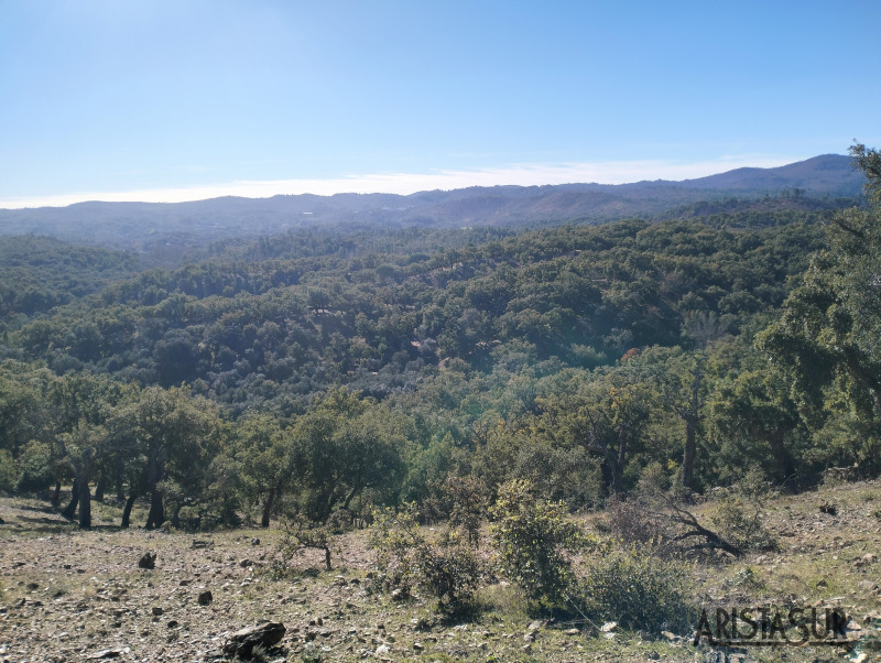 Mirador al salir de Navahermosa