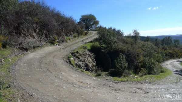 Pista de subida a la carretera