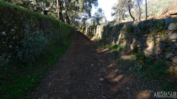 Sendero con cerca de piedra