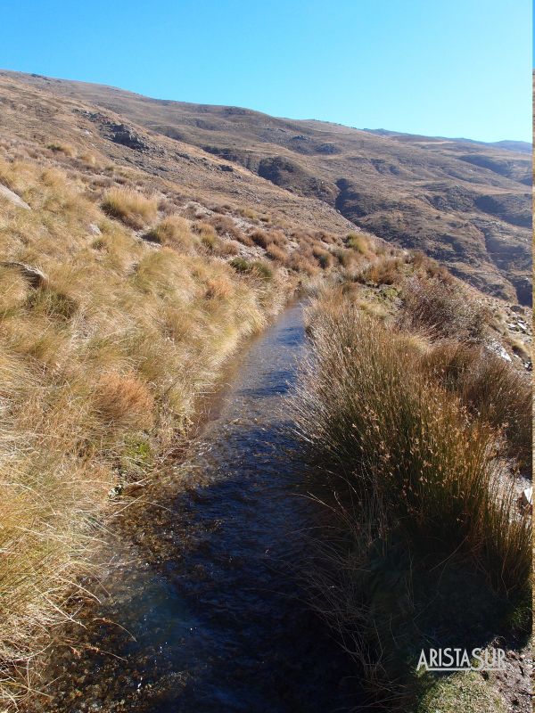 Acequia baja