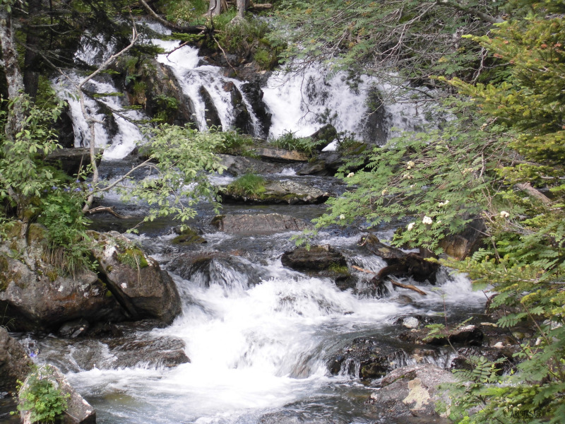 Cascadas junto al Puente Carboneros