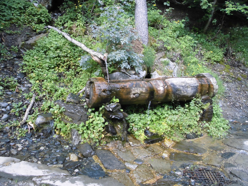 Fuente Coronas