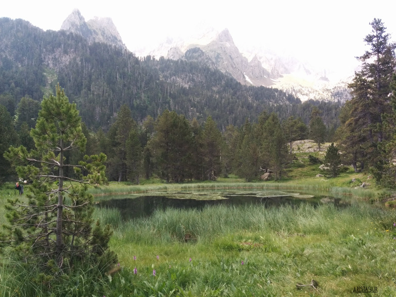 Ibonet de Batisielles
