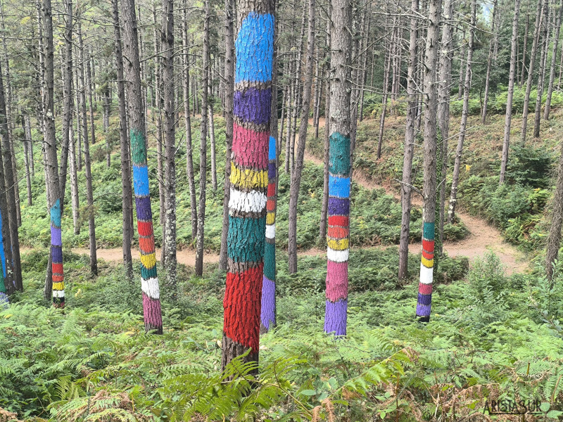 Obra en el Bosque de Oma