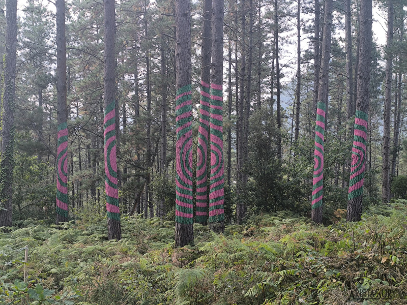 Obra en el Bosque de Oma