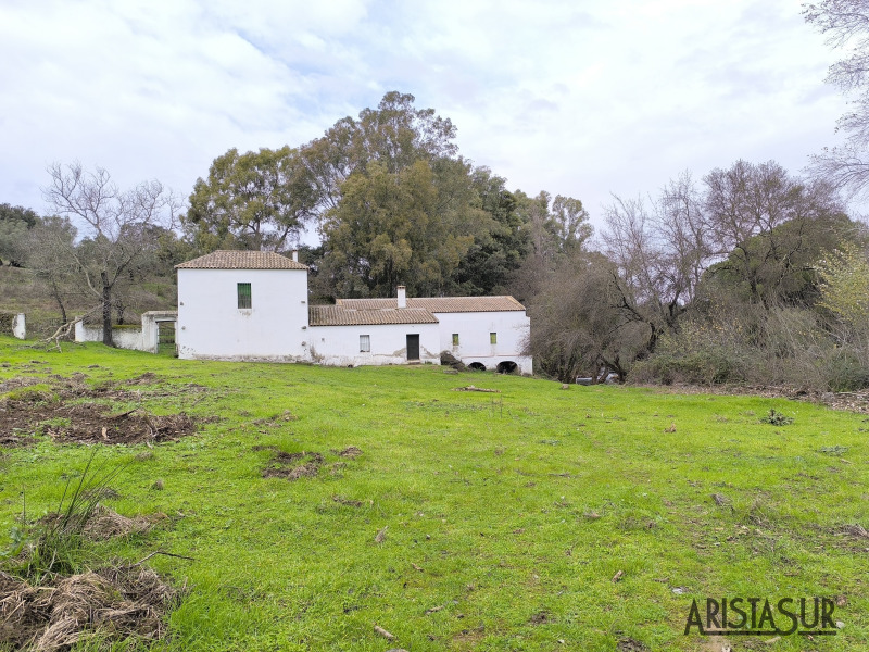 Cortijo junto a Charca la Pizarra
