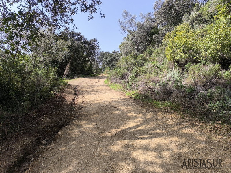 Sendero cinturón verde