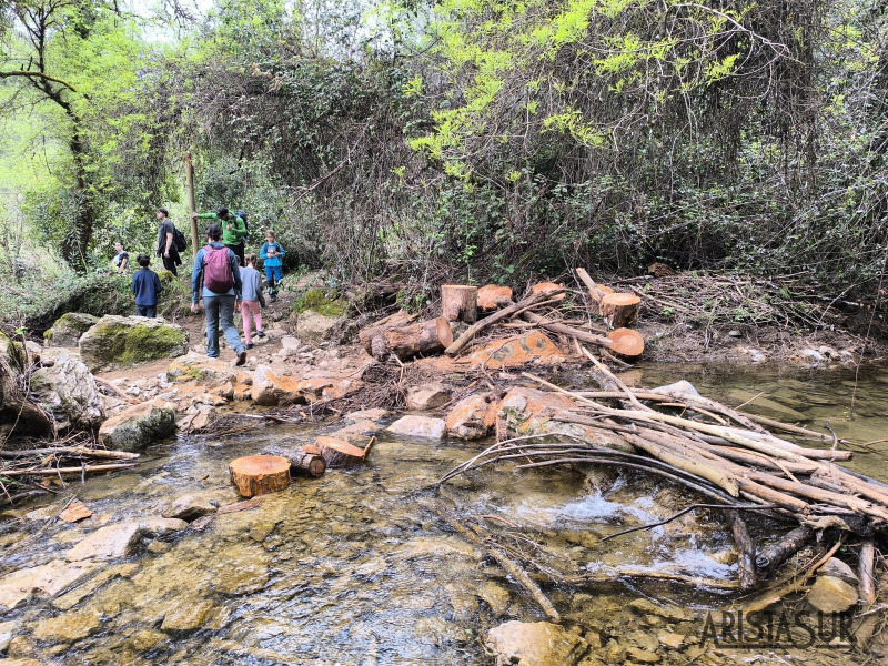 Desembocadura arroyo del Bejarano