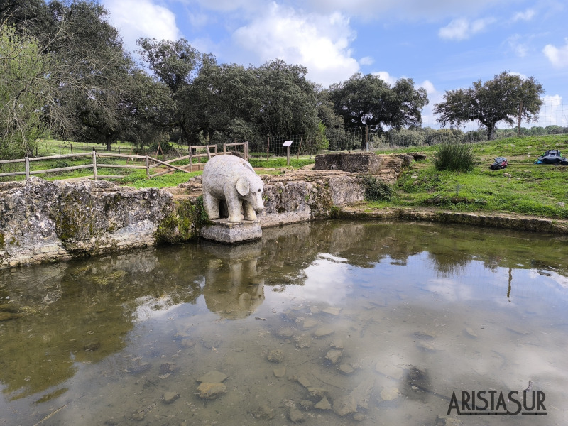 Fuente del elefante
