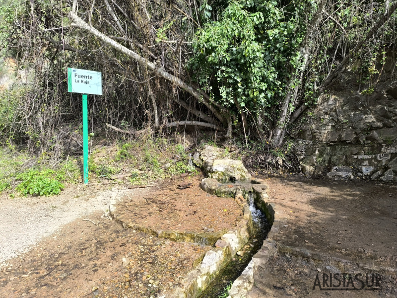 Fuente de la Raja